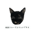 Love  ANCYU（個別スタンプ：29）