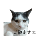 Love  ANCYU（個別スタンプ：30）