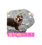 タラクラミック（個別スタンプ：6）
