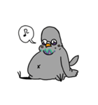 鳩 ググ！（個別スタンプ：5）