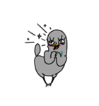 鳩 ググ！（個別スタンプ：10）