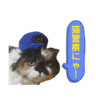 ふーちゃん(猫)①（個別スタンプ：20）