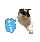 ふーちゃん(猫)①（個別スタンプ：32）