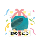 カメたちのお話（個別スタンプ：5）