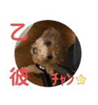 寂しがり屋（個別スタンプ：5）