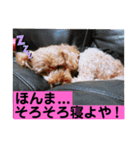 寂しがり屋（個別スタンプ：10）