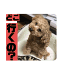 寂しがり屋（個別スタンプ：14）