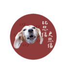 ビーグルななちゃん2（個別スタンプ：2）