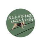 ビーグルななちゃん2（個別スタンプ：5）
