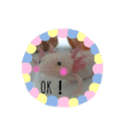 ウーパールーパーのぱるぱる（個別スタンプ：1）