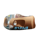 ウーパールーパーのぱるぱる（個別スタンプ：3）