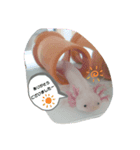 ウーパールーパーのぱるぱる（個別スタンプ：8）