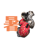 ミニチュアシュナウザーのラム猫のゆず（個別スタンプ：36）