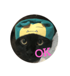 まりもこむぎฅ•ω•ฅ（個別スタンプ：4）