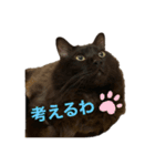 まりもこむぎฅ•ω•ฅ（個別スタンプ：7）