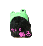 まりもこむぎฅ•ω•ฅ（個別スタンプ：8）