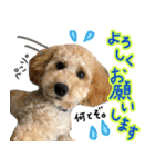 ロン☆2（個別スタンプ：2）