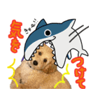 ロン☆2（個別スタンプ：7）