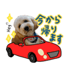 ロン☆2（個別スタンプ：12）