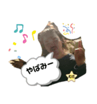 むさイケスタ（個別スタンプ：5）