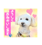 コールやん♡2020（個別スタンプ：2）