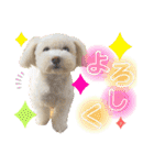 コールやん♡2020（個別スタンプ：4）