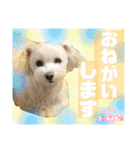 コールやん♡2020（個別スタンプ：6）