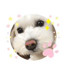 コールやん♡2020（個別スタンプ：7）