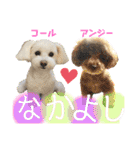 コールやん♡2020（個別スタンプ：8）