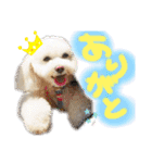 コールやん♡2020（個別スタンプ：10）