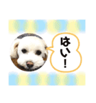 コールやん♡2020（個別スタンプ：13）