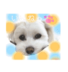コールやん♡2020（個別スタンプ：14）