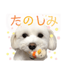 コールやん♡2020（個別スタンプ：18）