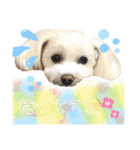 コールやん♡2020（個別スタンプ：19）