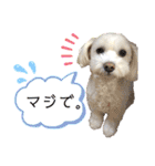 コールやん♡2020（個別スタンプ：20）
