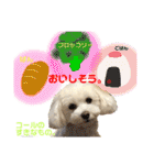 コールやん♡2020（個別スタンプ：28）