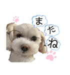 コールやん♡2020（個別スタンプ：31）