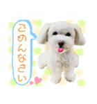 コールやん♡2020（個別スタンプ：33）