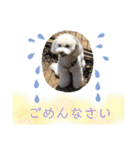 コールやん♡2020（個別スタンプ：34）
