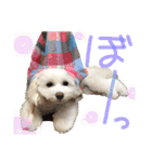 コールやん♡2020（個別スタンプ：35）