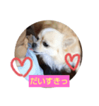 てぃだくんのスタンプ（個別スタンプ：6）