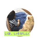 てぃだくんのスタンプ（個別スタンプ：7）