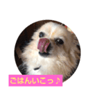てぃだくんのスタンプ（個別スタンプ：10）
