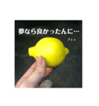 ヨコイ図鑑 8（個別スタンプ：8）