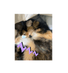 かわいいにゃんちゅう②（個別スタンプ：6）