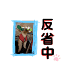 イッヌ。（個別スタンプ：3）