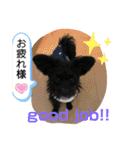 ♡パピプー  かりんの1日 part2♡（個別スタンプ：6）