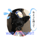 ♡パピプー  かりんの1日 part2♡（個別スタンプ：13）