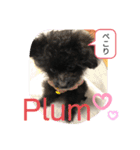 ♡パピプー  かりんの1日 part2♡（個別スタンプ：19）