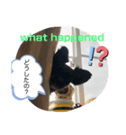 ♡パピプー  かりんの1日 part2♡（個別スタンプ：26）